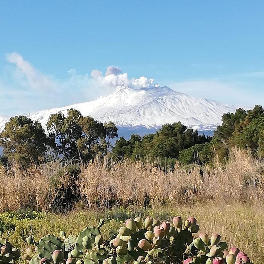 Апартаменты Casa Donna Rosaria Tra Etna E Taormina Рипосто Экстерьер фото